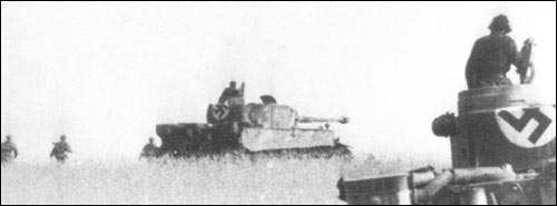 Tigers fighting at Kursk